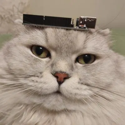 arducat avatar